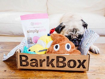 bark box