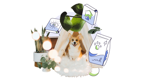 Best dog daycare software