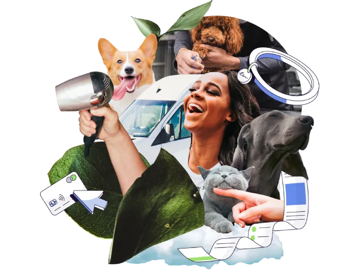 Image representing DaySmart Pet