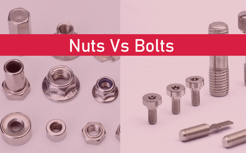 Nuts Vs Bolts